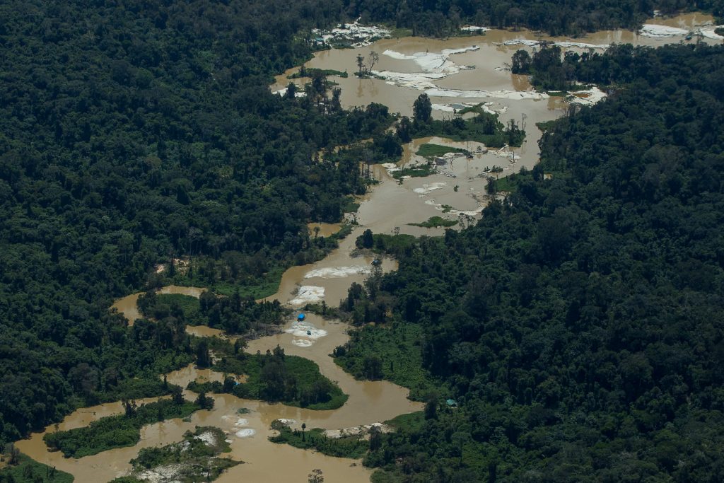Colapso del ecosistema de la Cuenca Amazónica: una muerte anunciada