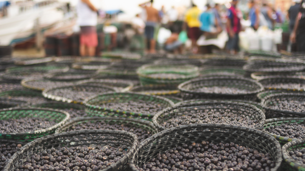 Açaí na feira do Ver O Peso, no Pará. Foto: Wagner Okasaki / Getty Images