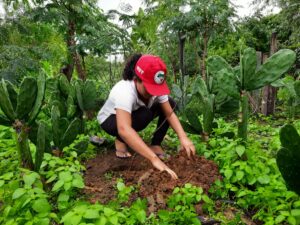 Mulher com boné do MST mexe na terra em meio a uma horta.
