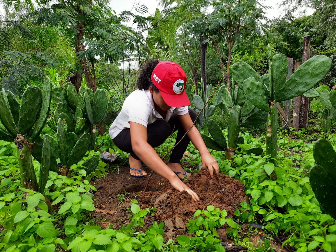 Mulher com boné do MST mexe na terra em meio a uma horta.