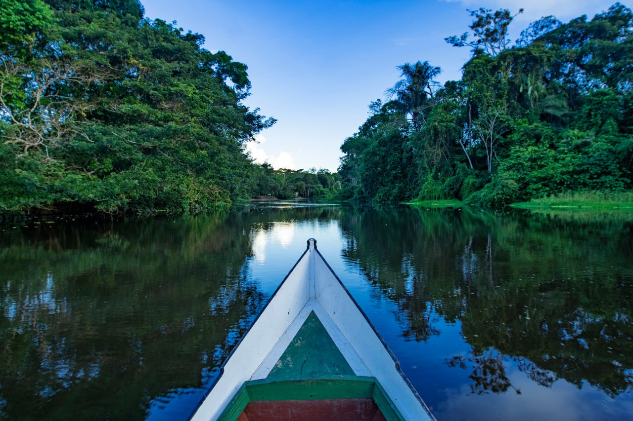 Imagem com a ponta de um barco em um rio ladeado de floresta.
