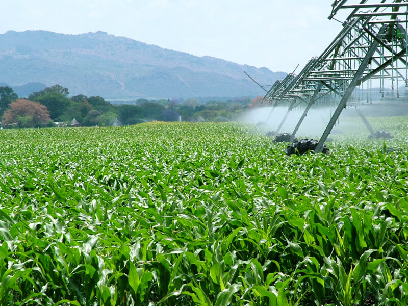 Falsas soluciones a la crisis climática desde la agricultura
