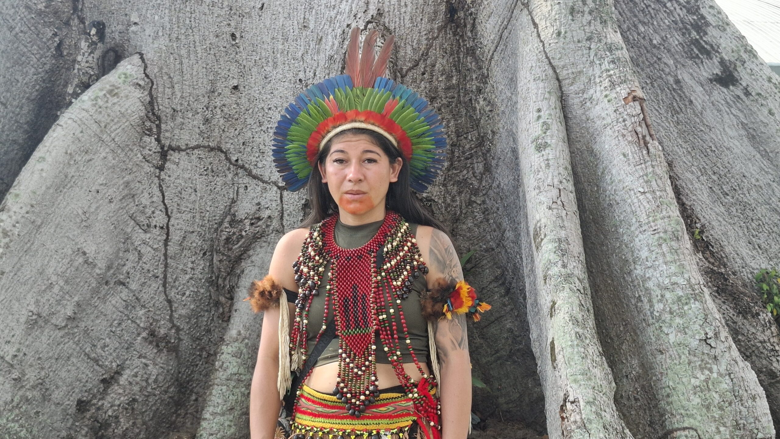 Do manejo ancestral à economia de baixo carbono: a Amazônia no centro da COP30